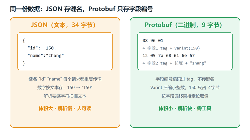 JSON 与 Protobuf 编码对比：JSON 传键名、Protobuf 只传字段编号