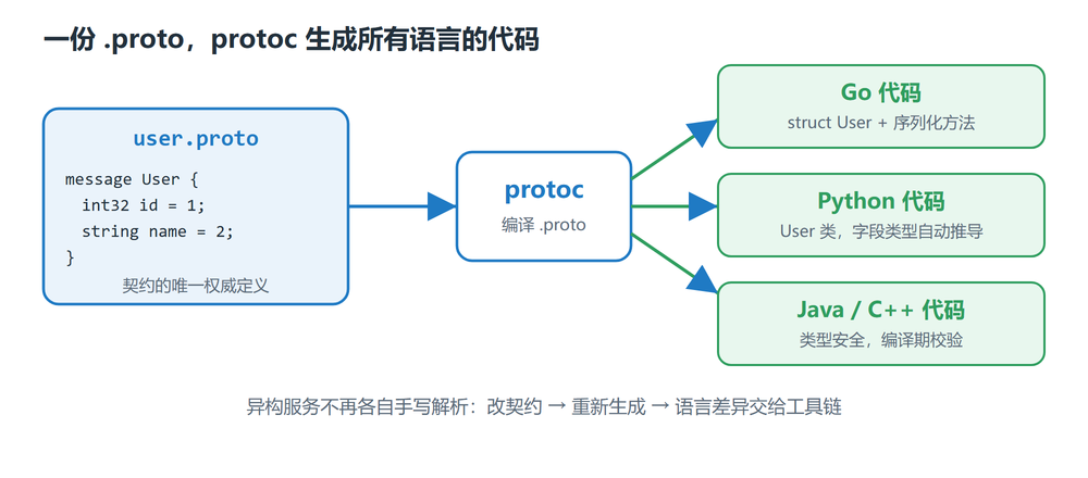 一份 proto 文件经 protoc 生成 Go、Python、Java、C++ 代码