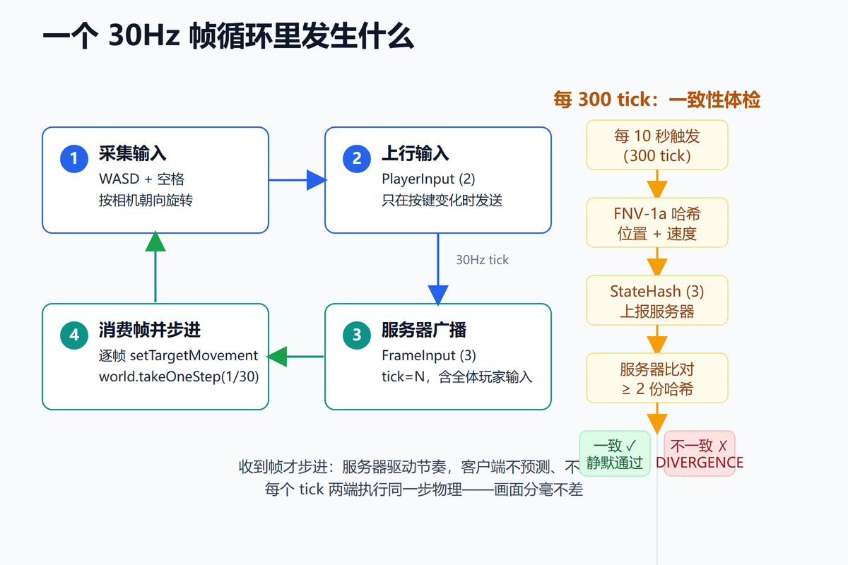 30Hz帧循环与状态哈希校验流程